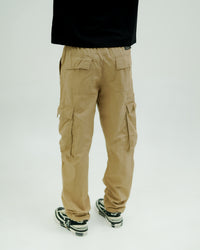 CARGOS 006